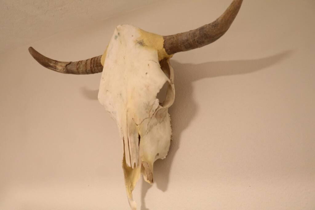 Cowboy Den-Hot Tub-Game Room-Pet Friendly-No Pet Fees! Albuquerque Eksteriør billede